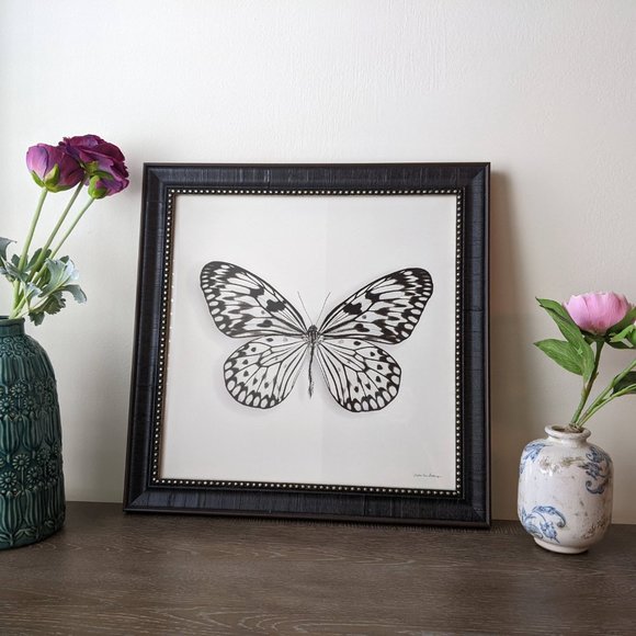 NIB Framed Butterfly Graphic Art Print - Picture 6 of 7